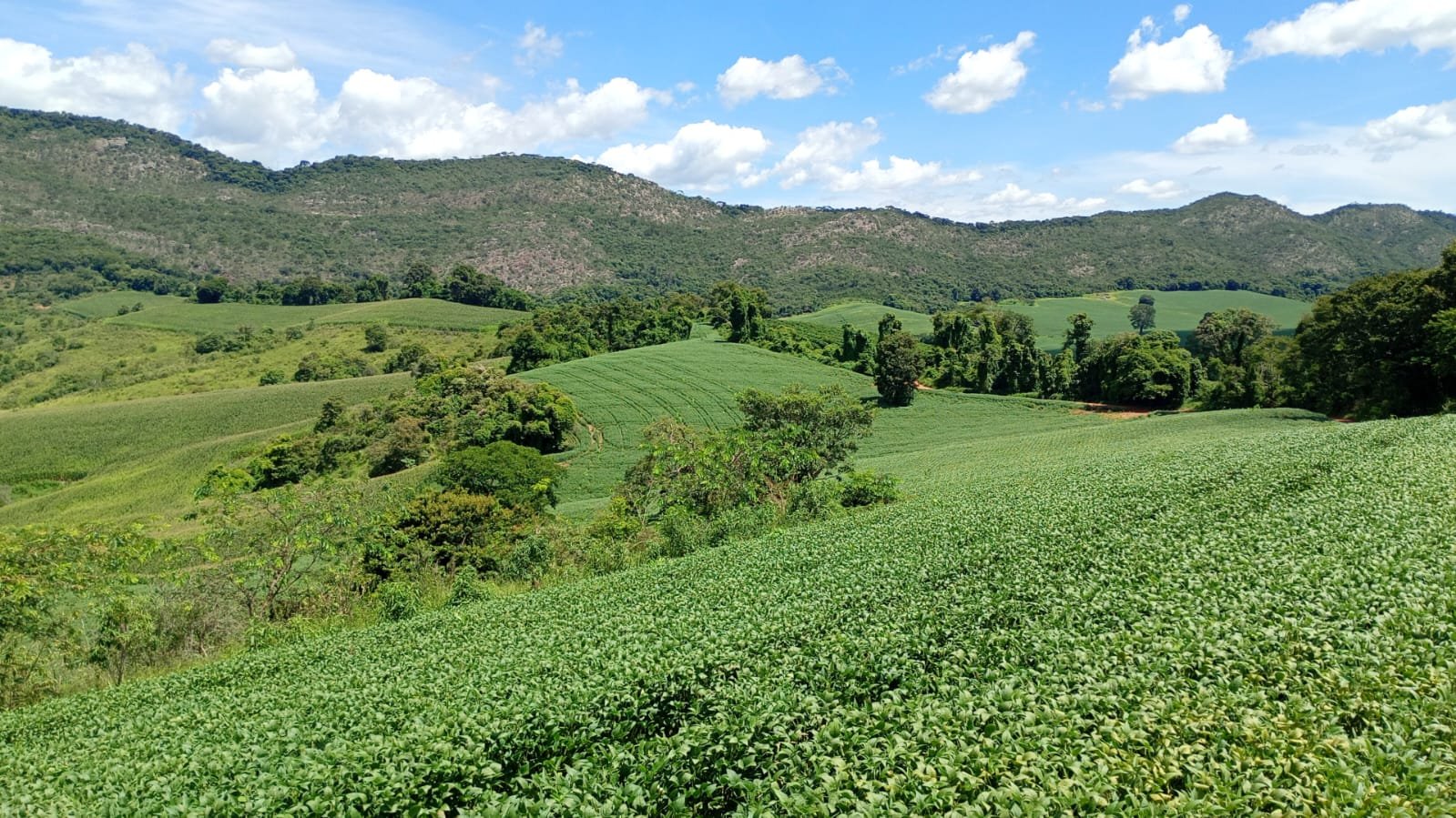 FAZENDA À VENDA – 95,2668 HECTARES